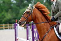 2025 - Haylee - Picco Horse Show - Saturday July 26th 04790