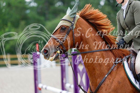 2025 - Haylee - Picco Horse Show - Saturday July 26th 04790