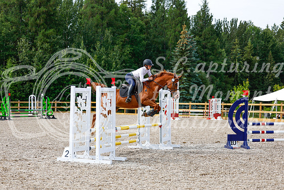 2025 - Haylee - Picco Horse Show - Thursday July 24th 01583
