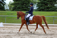 2025 - Dressage Festival - Saturday July 5th - 13788