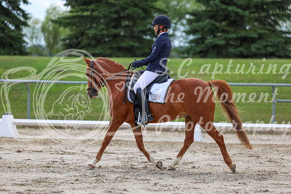 2025 - Dressage Festival - Saturday July 5th - 13788