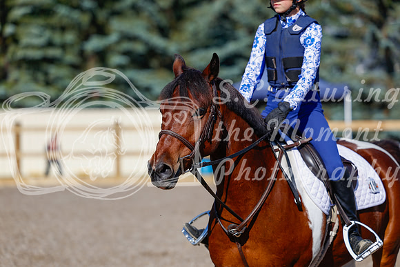 2025 - Haylee - Picco Horse Show - Thursday July 24th 00540