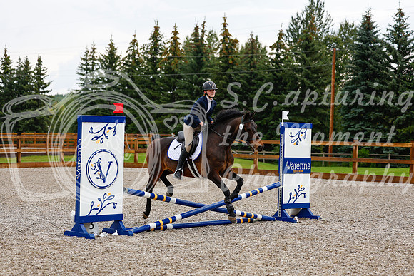 2025 - Haylee - Picco Horse Show - Sunday July 27th 00247