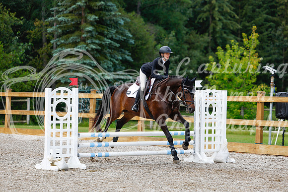 2025 - Haylee - Picco Horse Show - Sunday July 27th 02098