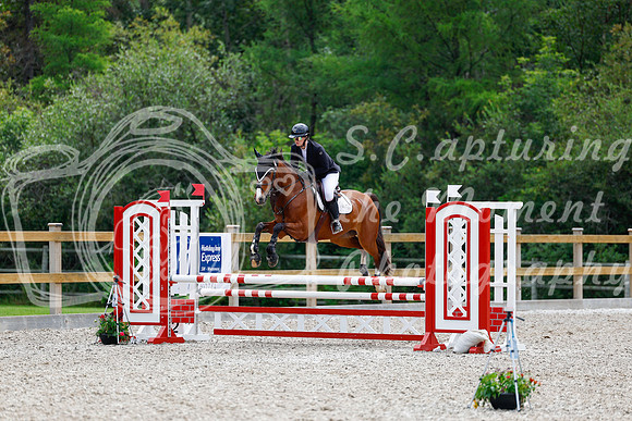 2025 - Haylee - Picco Horse Show - Sunday July 27th 03885
