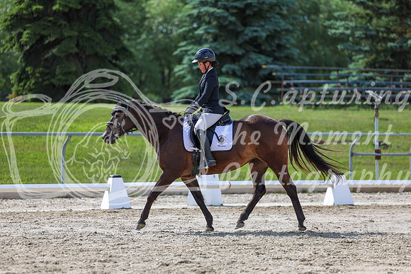 2025 - Dressage Festival - Saturday July 5th - 15504