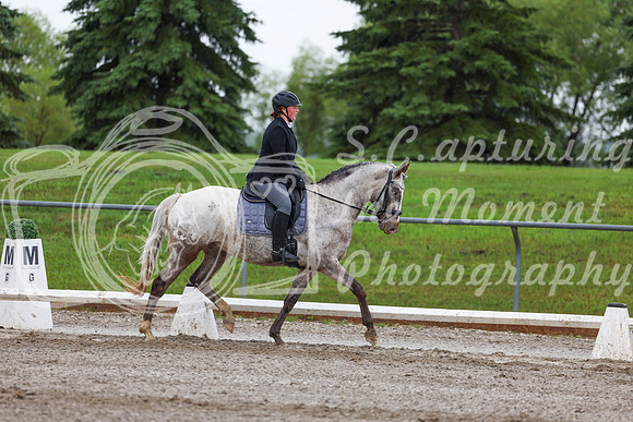 2025 - Dressage Festival - Sunday July 6th - 02303