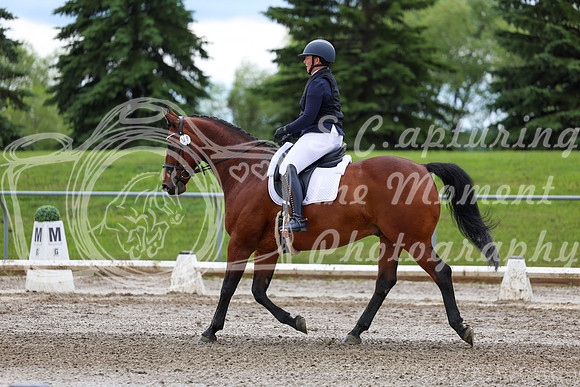 2025 - Dressage Festival - Sunday July 6th - 11803
