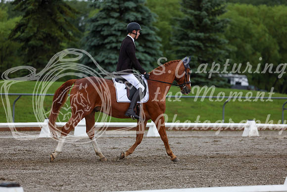 2025 - Dressage Festival - Sunday July 6th - 01359