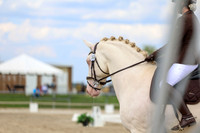 2025 - Dressage Festival - Saturday July 5th - 12070