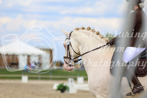 2025 - Dressage Festival - Saturday July 5th - 12070