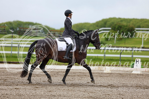 2025 - Dressage Festival - Sunday July 6th - 04550