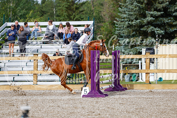 2025 - Haylee - Picco Horse Show - Friay July 25th 00905