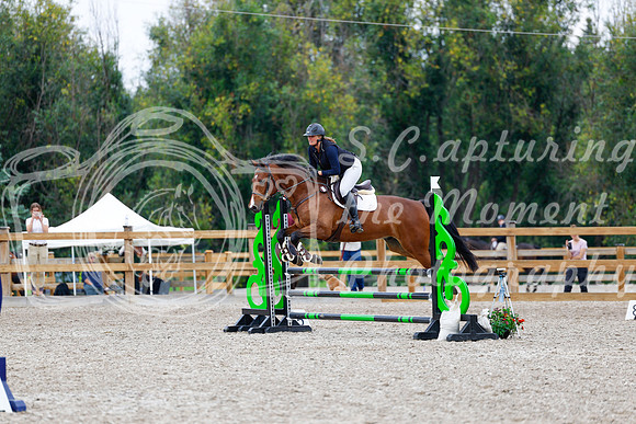 2025 - Haylee - Picco Horse Show - Saturday July 26th 05544