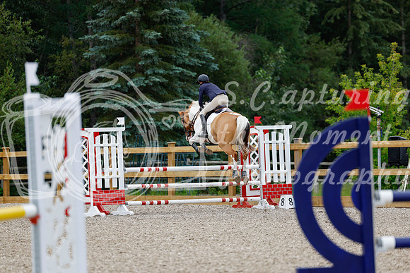 2025 - Haylee - Picco Horse Show - Thursday July 24th 02896