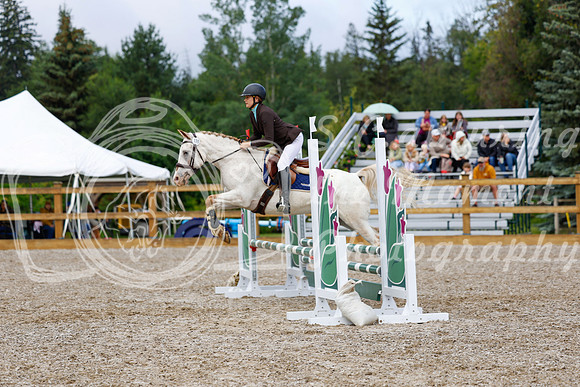 2025 - Haylee - Picco Horse Show - Sunday July 27th 01976