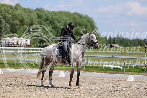 2025 - Dressage Festival - Saturday July 5th - 09016