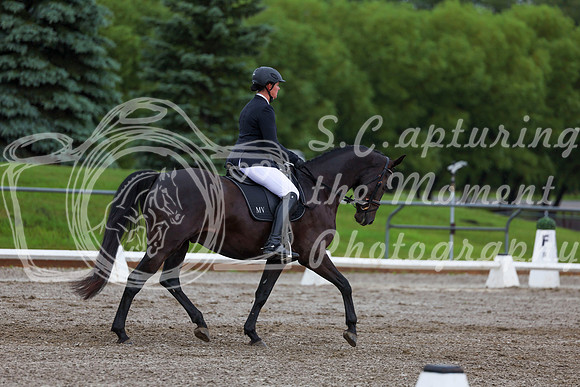 2025 - Dressage Festival - Sunday July 6th - 01917