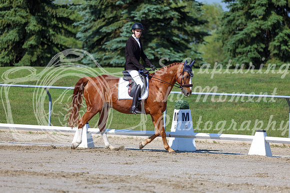 2025 - Dressage Festival - Saturday July 5th - 01705