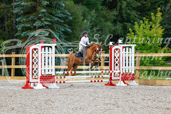 2025 - Haylee - Picco Horse Show - Friay July 25th 01319