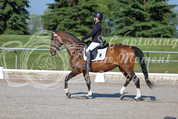2025 - Dressage Festival - Saturday July 5th - 00437