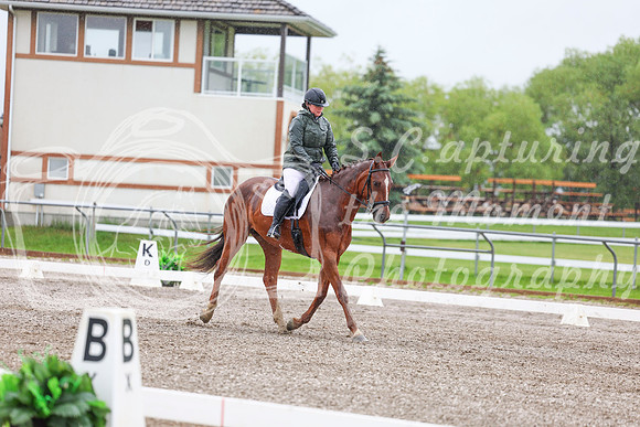 2025 - Dressage Festival - Sunday July 6th - 03570