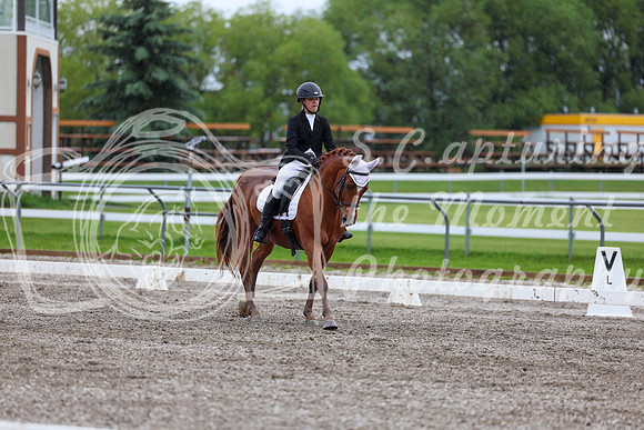 2025 - Dressage Festival - Sunday July 6th - 06176