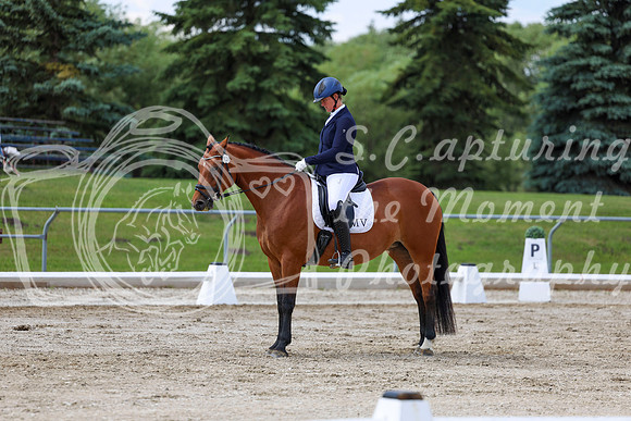 2025 - Dressage Festival - Saturday July 5th - 10479