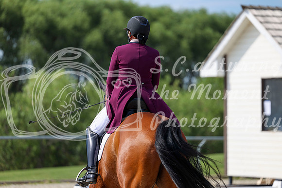 2025 - Dressage Festival - Saturday July 5th - 03081
