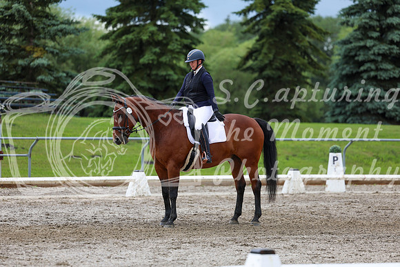 2025 - Dressage Festival - Sunday July 6th - 11795