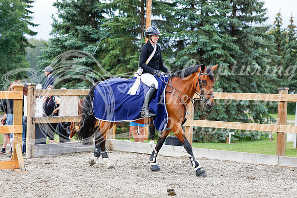 2025 - Haylee - Picco Horse Show - Saturday July 26th 09591