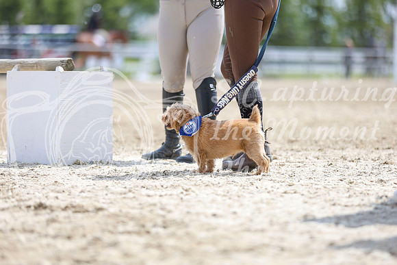 2025 - Julia - Blue Sky Classic - Sunday, May 18th 40829