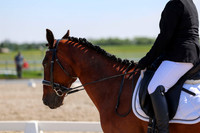 2025 - Dressage Festival - Saturday July 5th - 05154