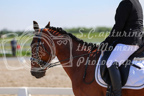 2025 - Dressage Festival - Saturday July 5th - 05154