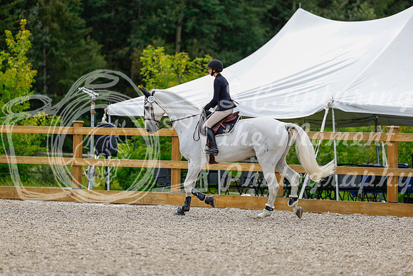2025 - Haylee - Picco Horse Show - Friay July 25th 03734