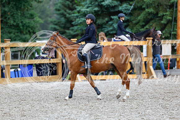 2025 - Haylee - Picco Horse Show - Saturday July 26th 02397