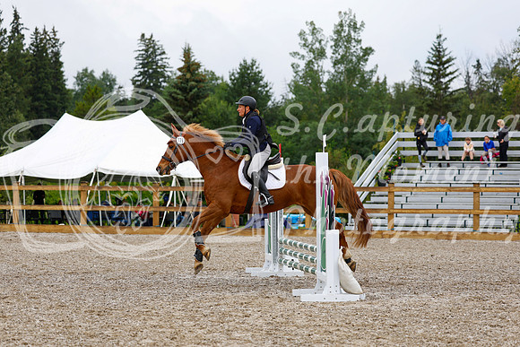 2025 - Haylee - Picco Horse Show - Sunday July 27th 00781