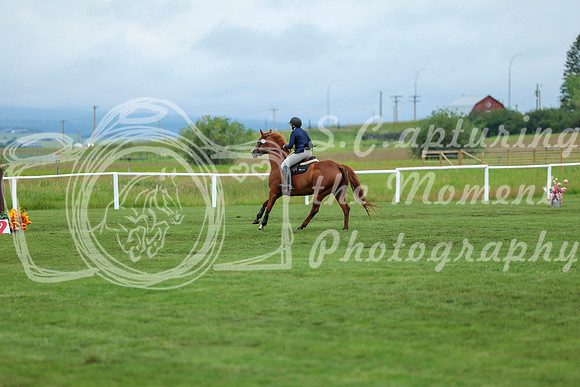 2025 - Shea - Teesdale - Saturday July 26th - 02884
