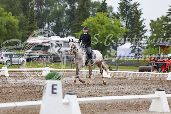 2025 - Dressage Festival - Sunday July 6th - 02112