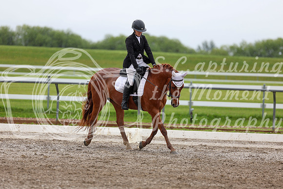 2025 - Dressage Festival - Sunday July 6th - 06173