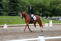 2025 - Dressage Festival - Sunday July 6th - 10390