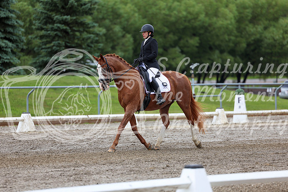 2025 - Dressage Festival - Sunday July 6th - 10390