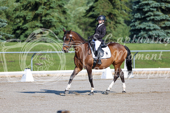 2025 - Dressage Festival - Saturday July 5th - 00425