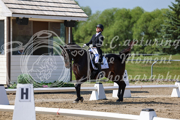 2025 - Dressage Festival - Saturday July 5th - 03749