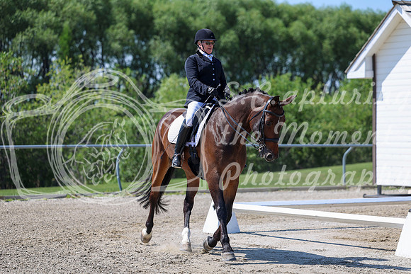 2025 - Dressage Festival - Saturday July 5th - 05226