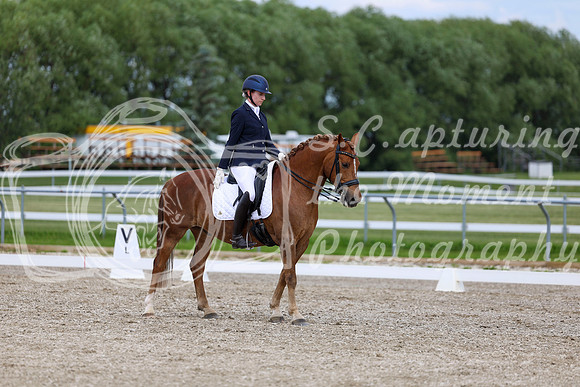 2025 - Dressage Festival - Saturday July 5th - 11819