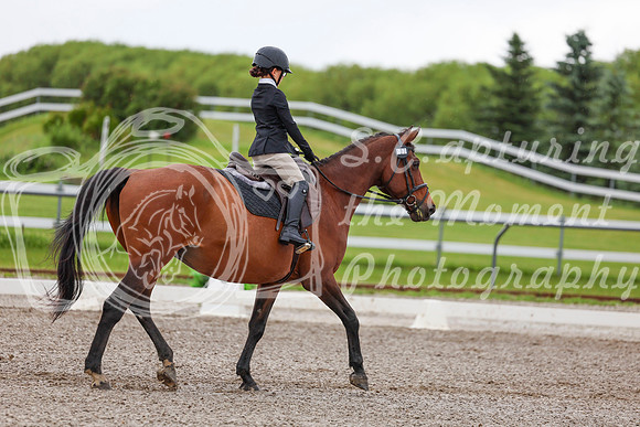 2025 - Dressage Festival - Sunday July 6th - 01832