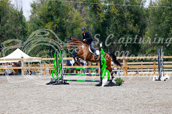 2025 - Haylee - Picco Horse Show - Saturday July 26th 06032