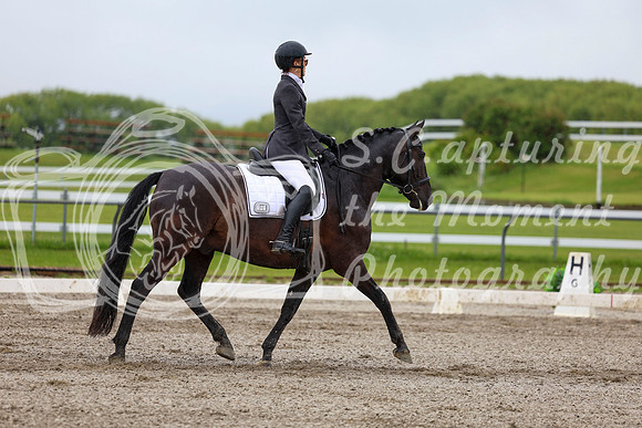 2025 - Dressage Festival - Sunday July 6th - 04551