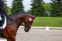 2025 - Dressage Festival - Sunday July 6th - 00827